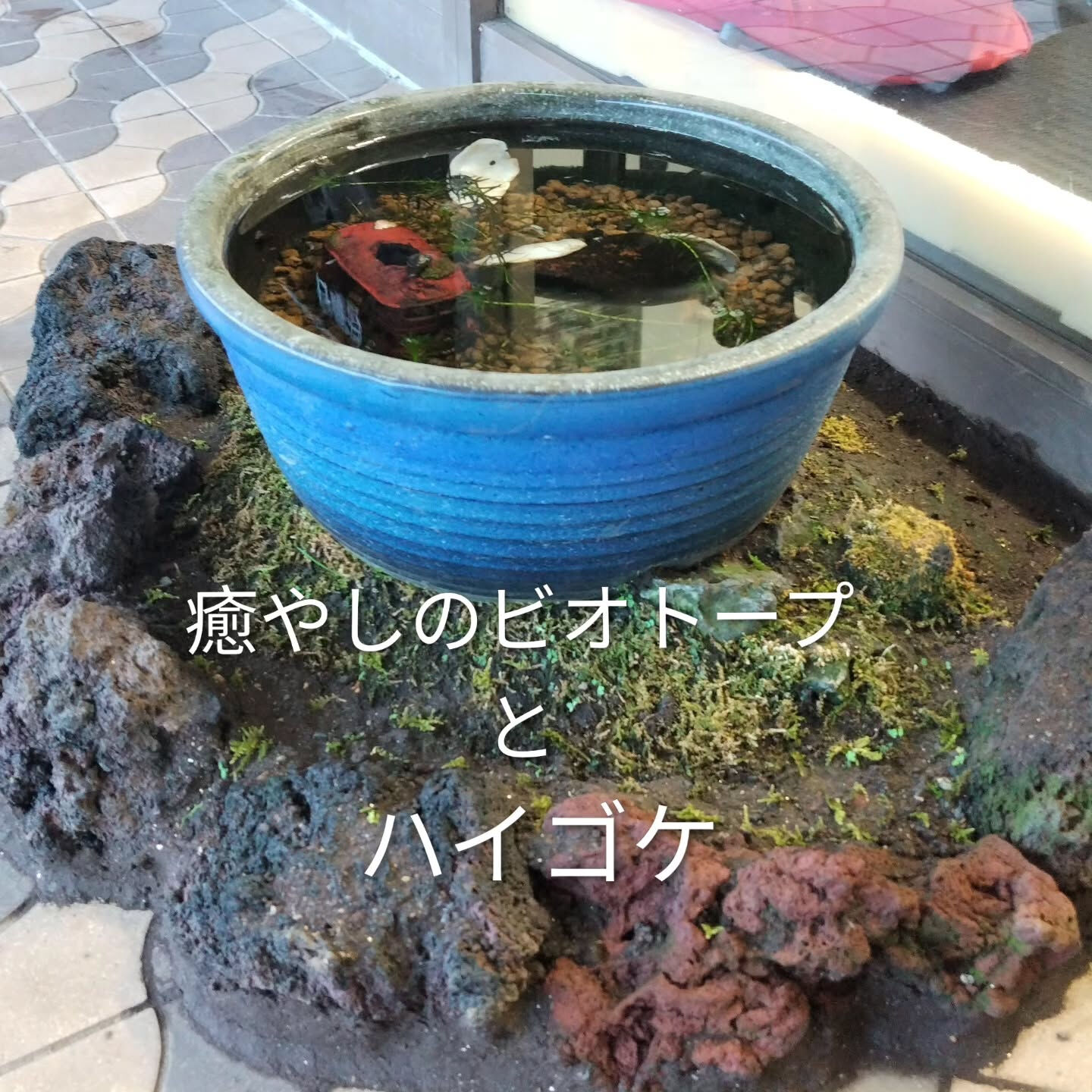 ･